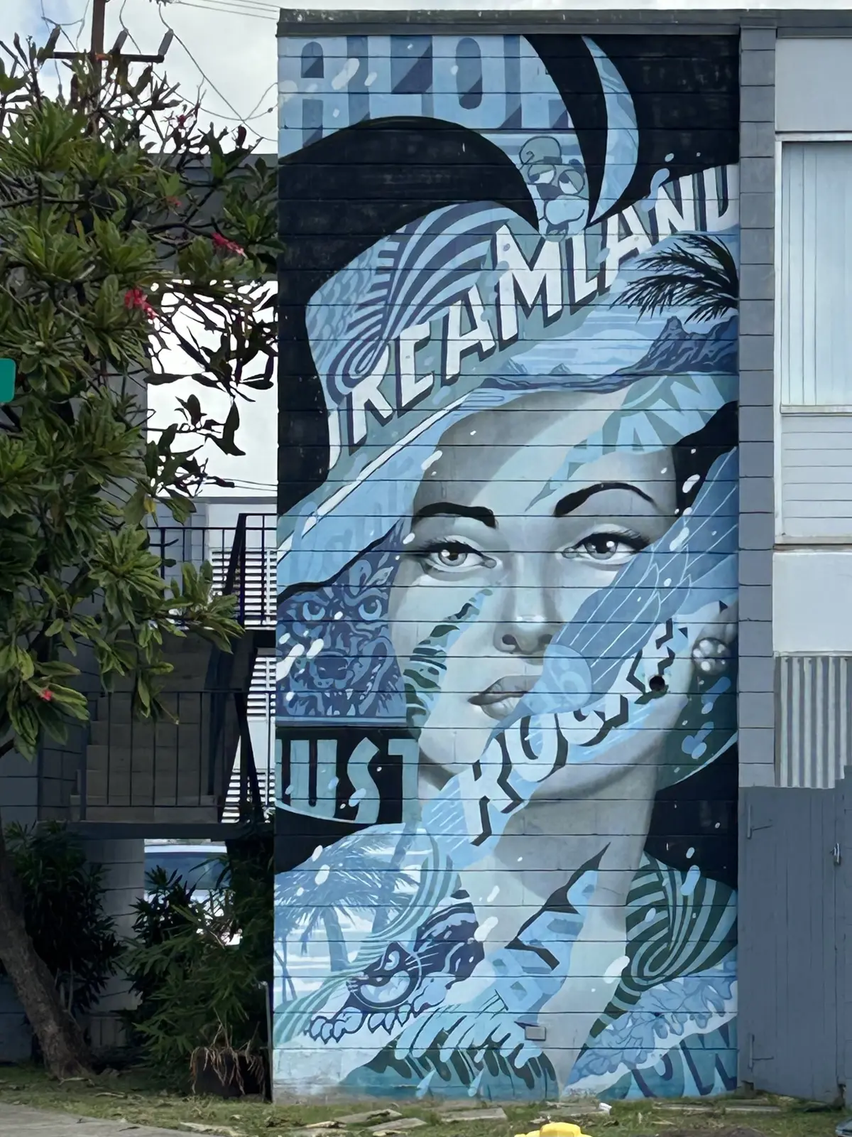 カカアコ　ウォールアート　Kaka’ako Wall Art
