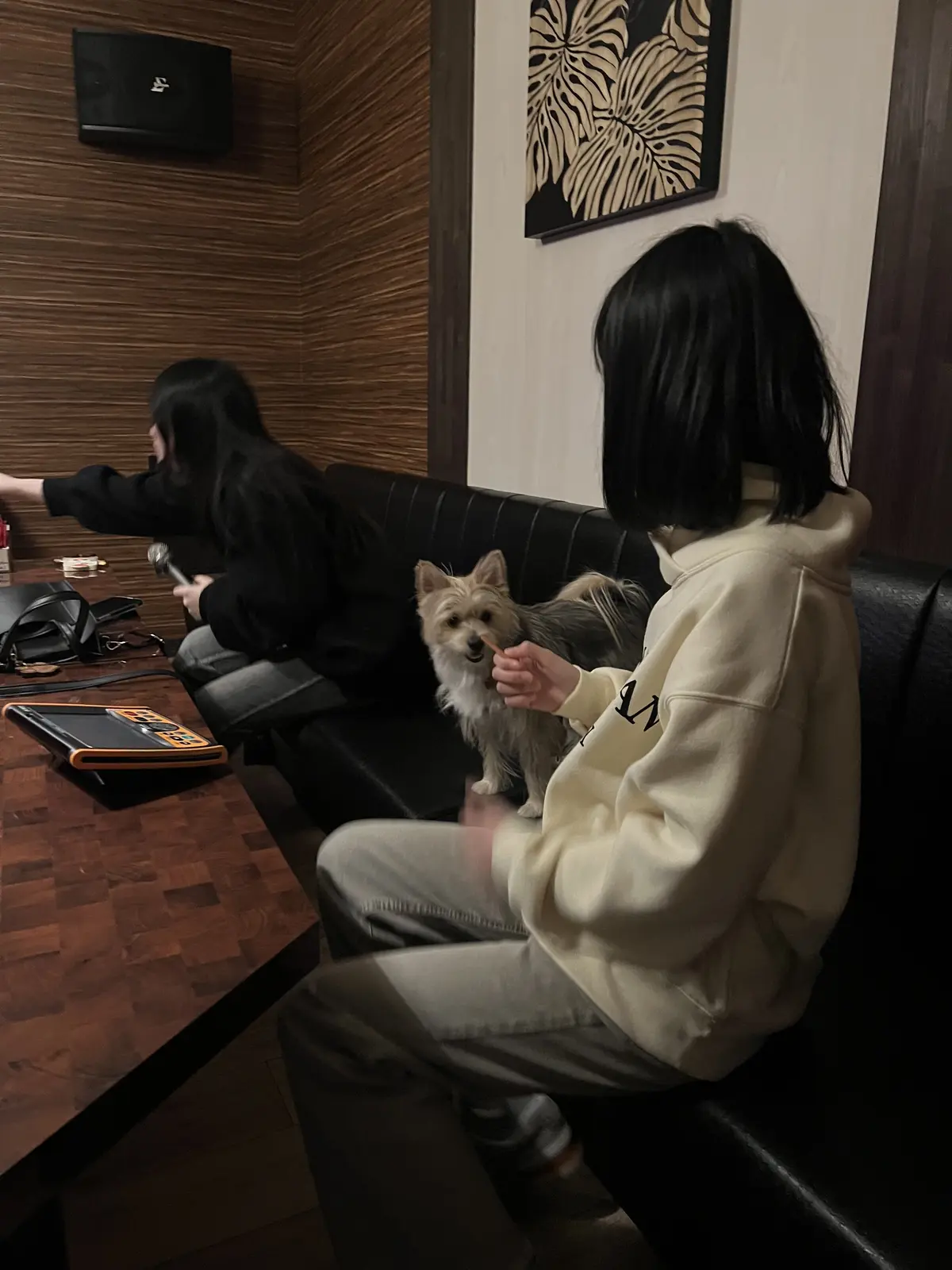 ワンコと入れるカラオケルーム