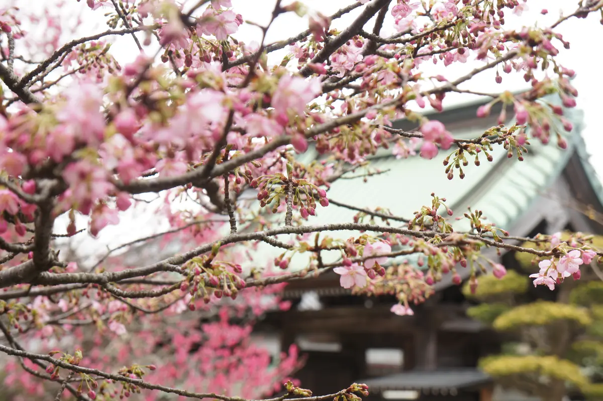 2日目　スタートは金曜午後！2泊3日の鎌の画像_1
