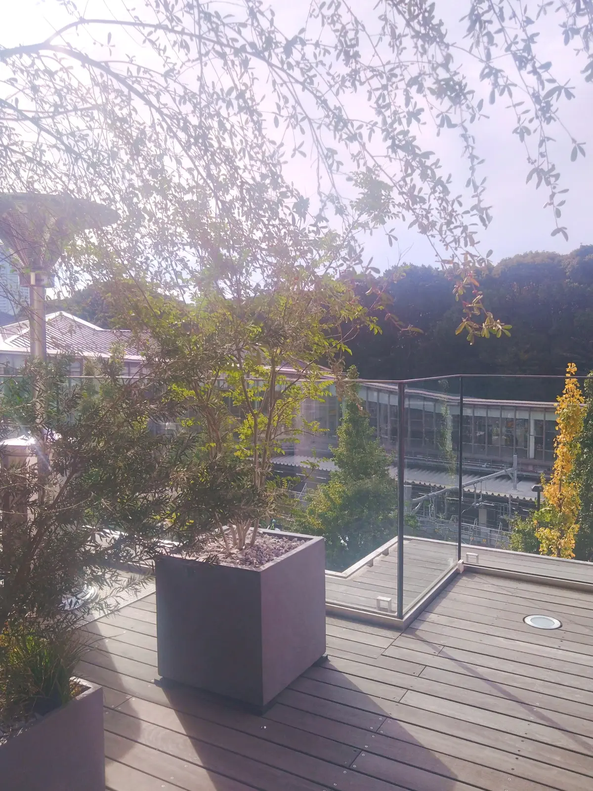 オーバカナル、原宿、テラス席