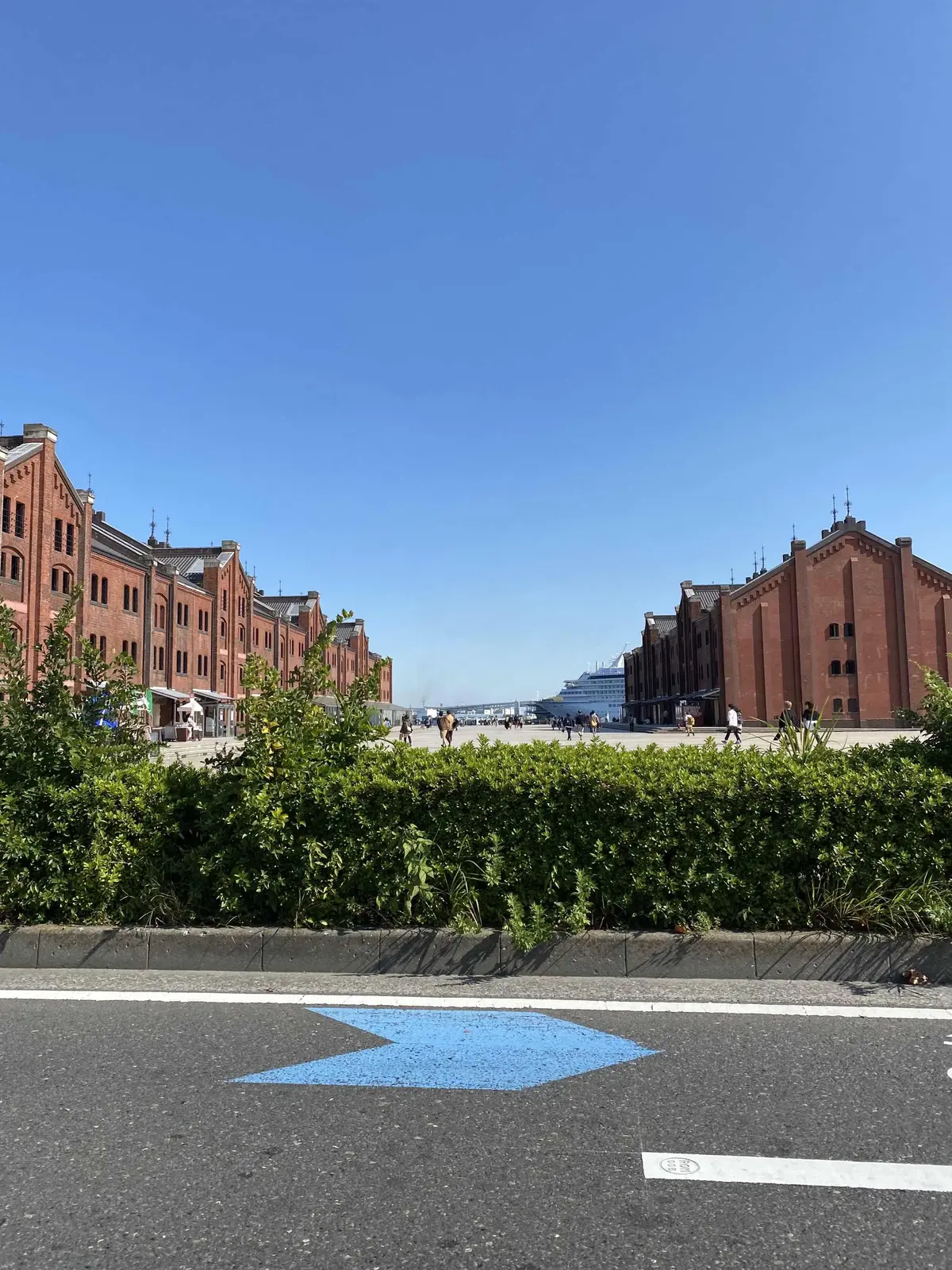 ZARAのアニマル柄オーバーサイズシャツの画像_5