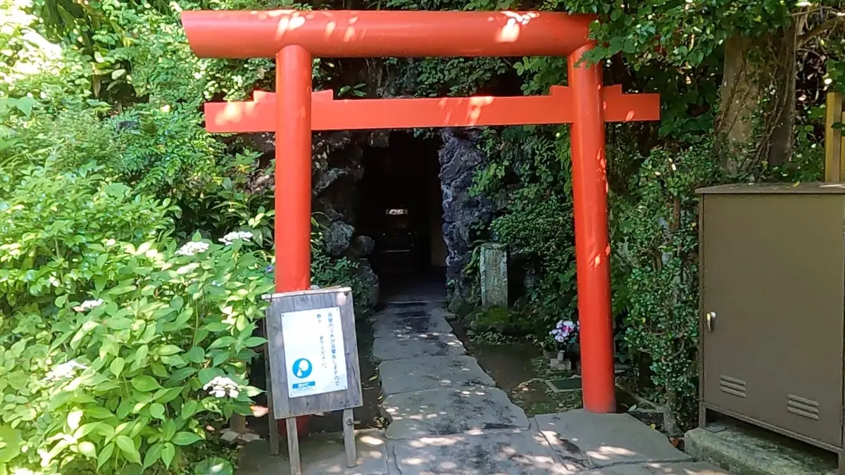 鎌倉　長谷寺　あじさい　紫陽花　ブログ
