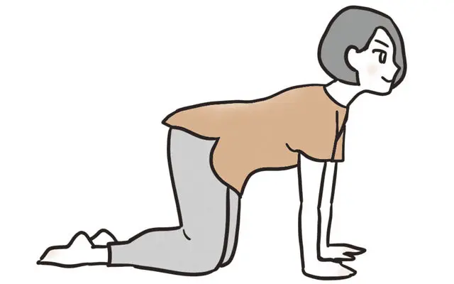 猫のポーズで胃をゆるめる！ イラスト2