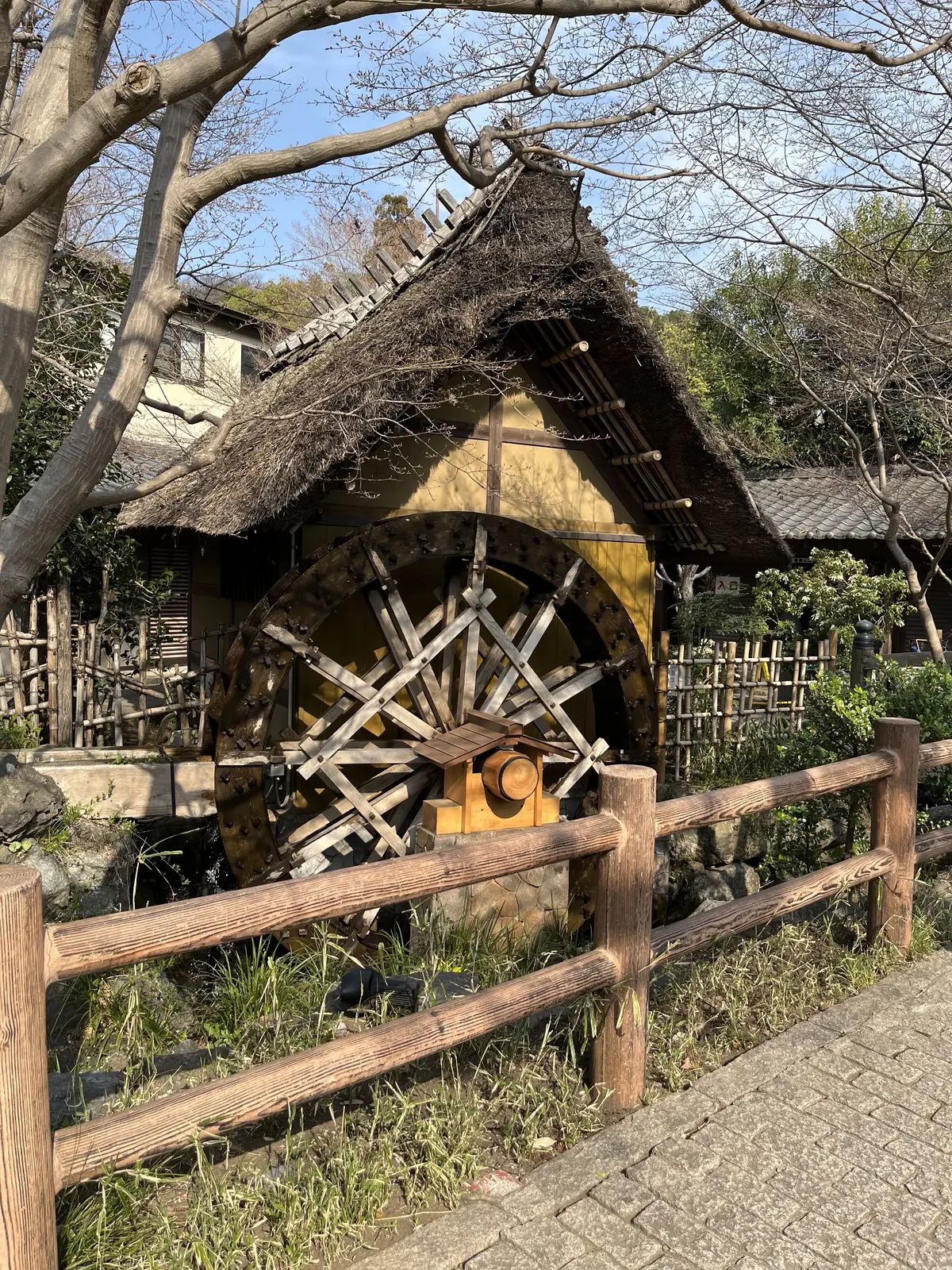 【調布】平日ソロ活♡深大寺へGO！の画像_4