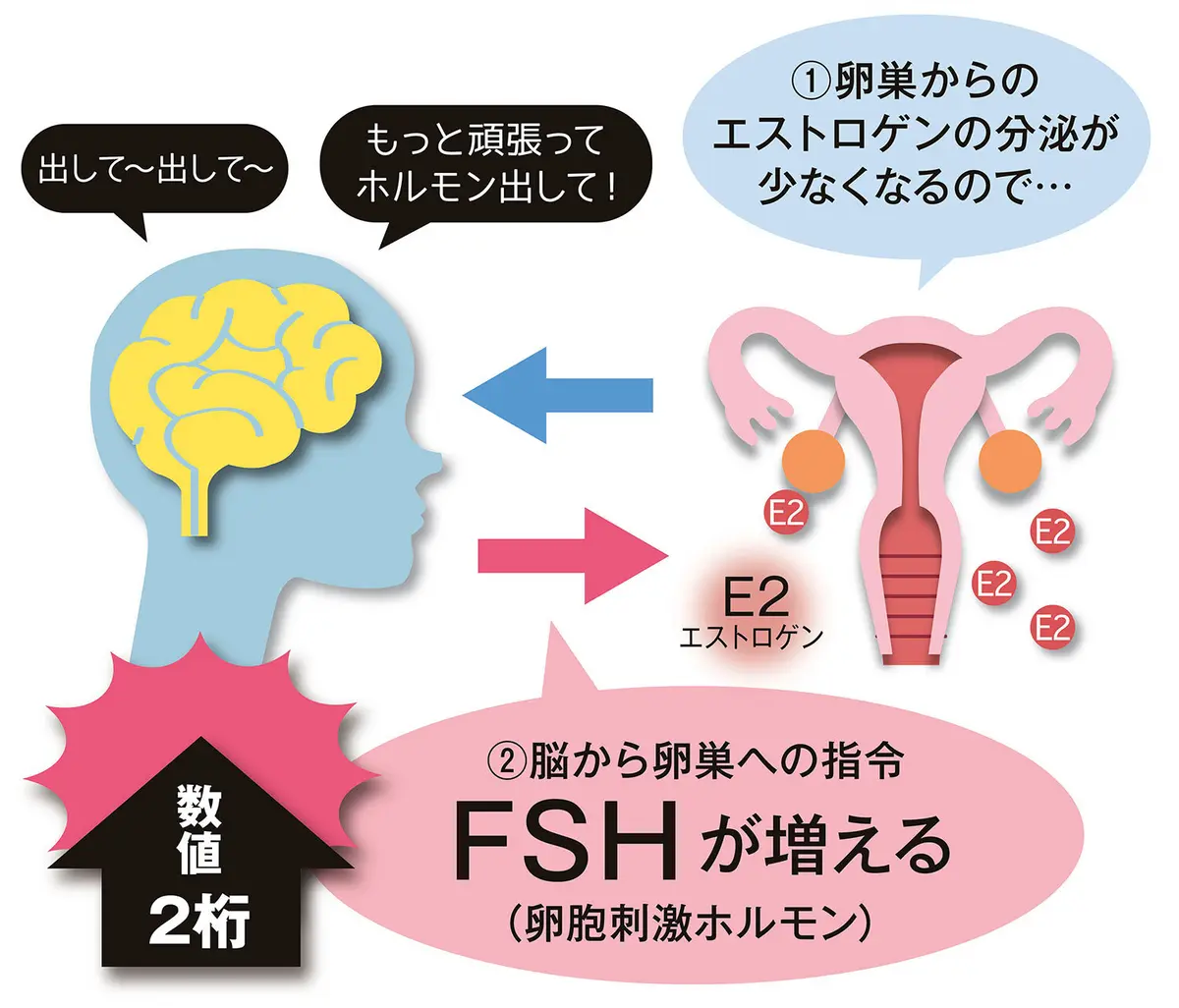 OurAge×Webエクラ　更年期の目安2