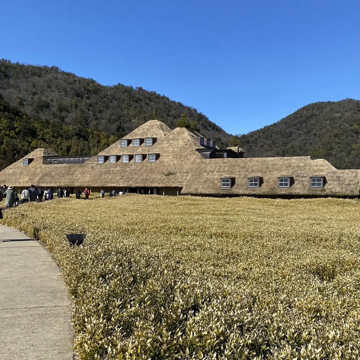 風情ある街並みを散策～近江八幡日帰り旅の画像_3