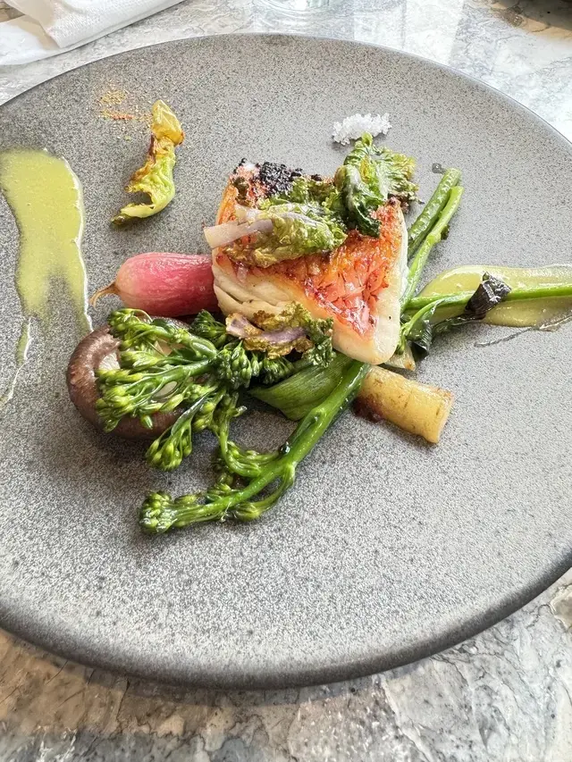 ゼンティス大阪２