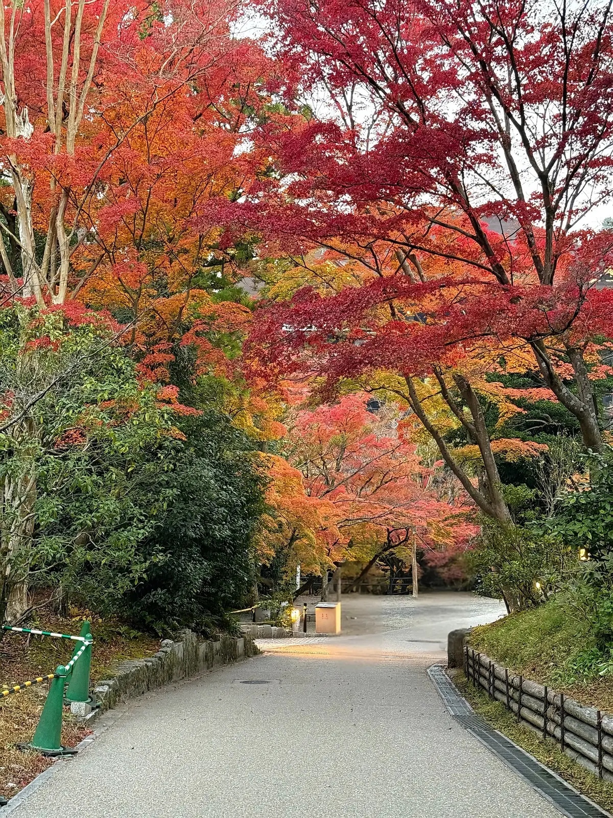 【大人の京都】寺院仏閣とお気に入りの秋のの画像_15