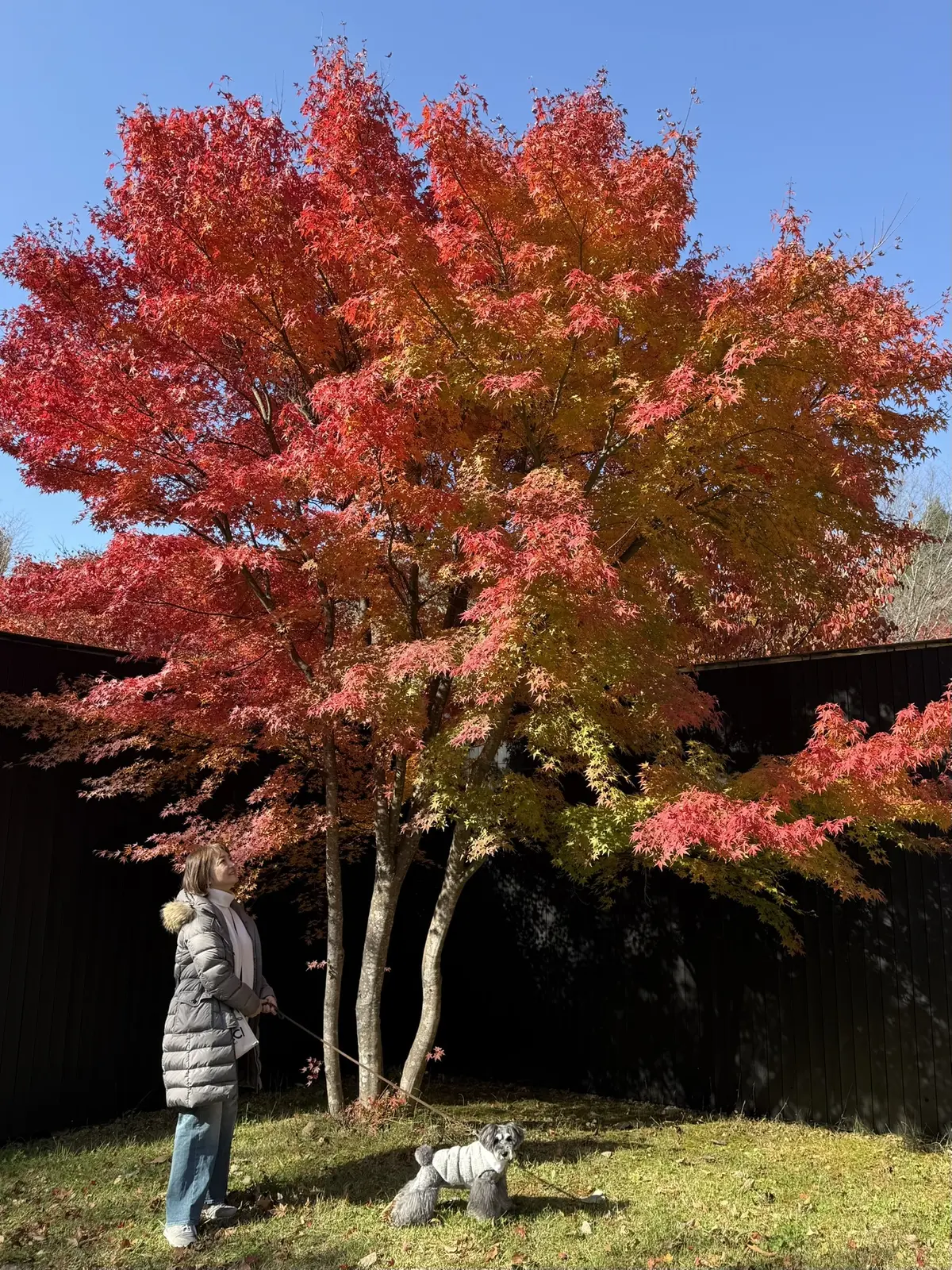 軽井沢　紅葉　梅澤千佳子
