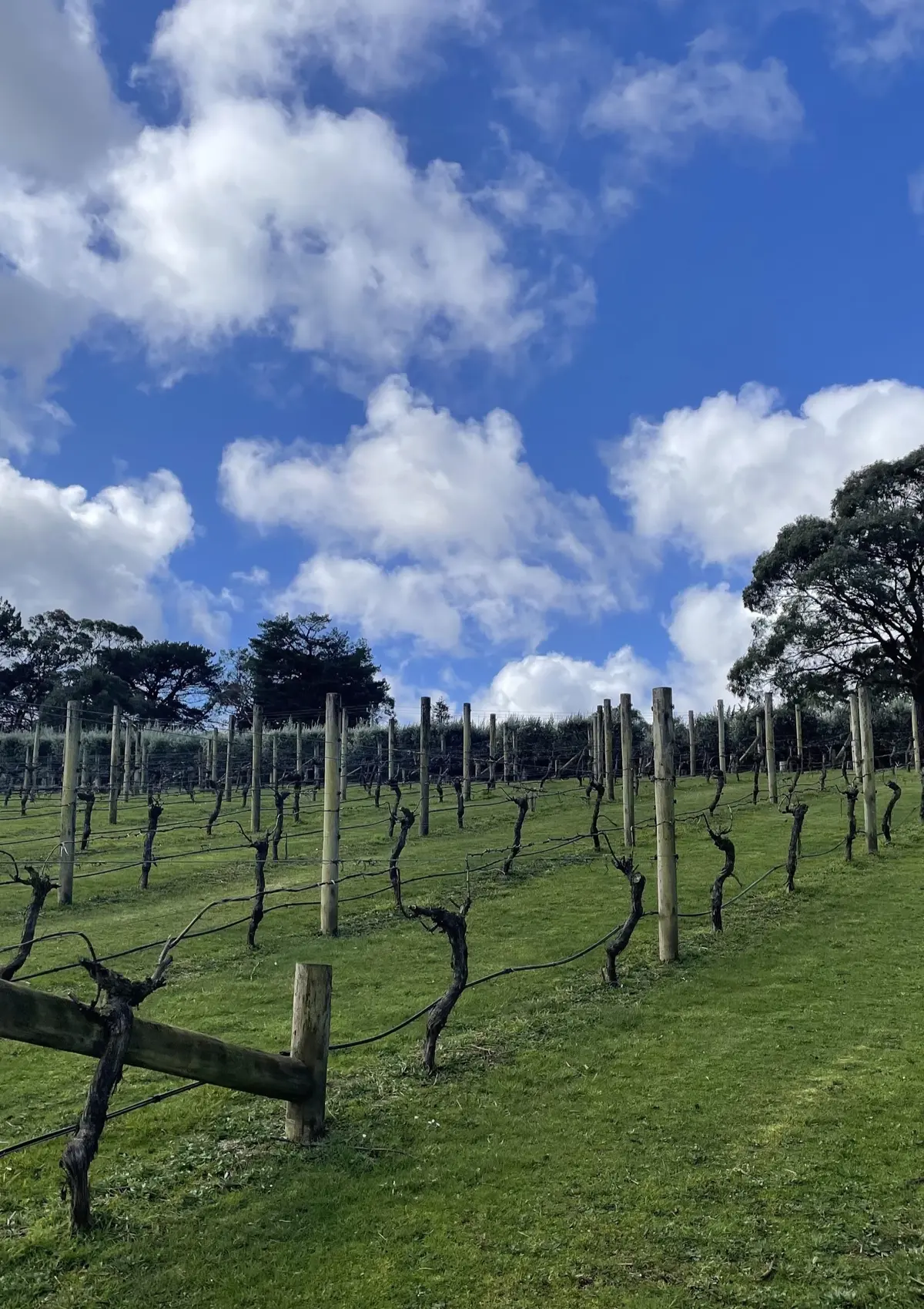 メルボルンで過ごす大人の旅 -vol.3の画像_3