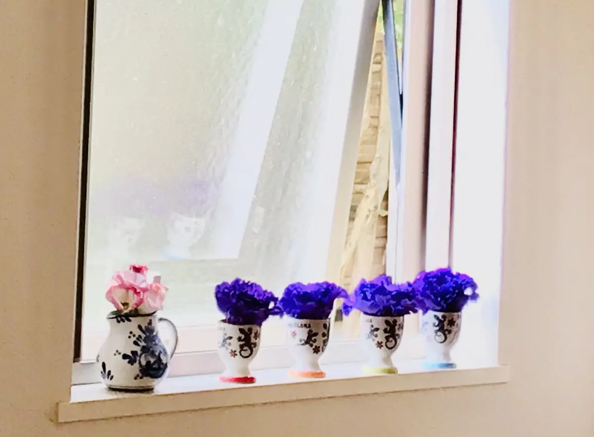 パープルのカーネーション