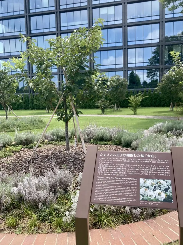 趣のある門扉の向こうにイングリッシュガーの画像_3