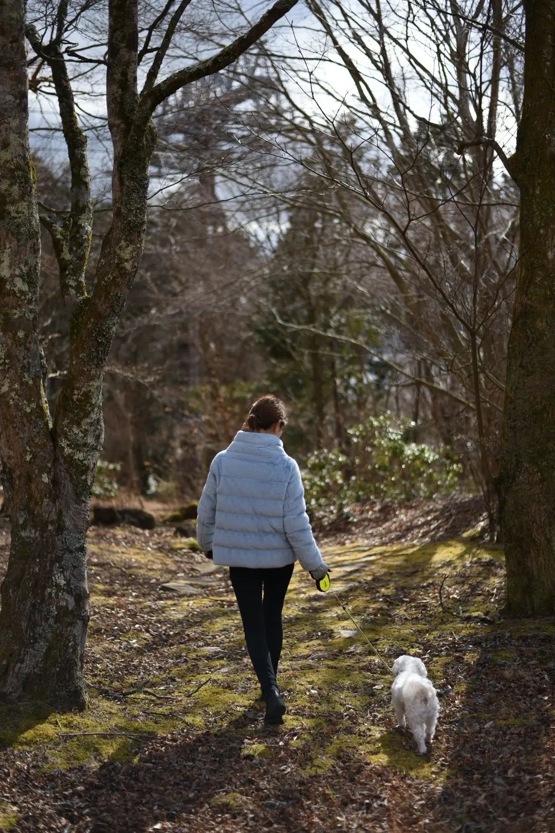 箱根神社へ新年のご挨拶⛩️の画像_17