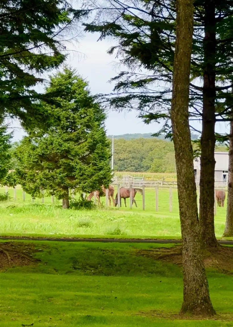 絶景と美食を堪能！北海道の名門コースを巡の画像_20