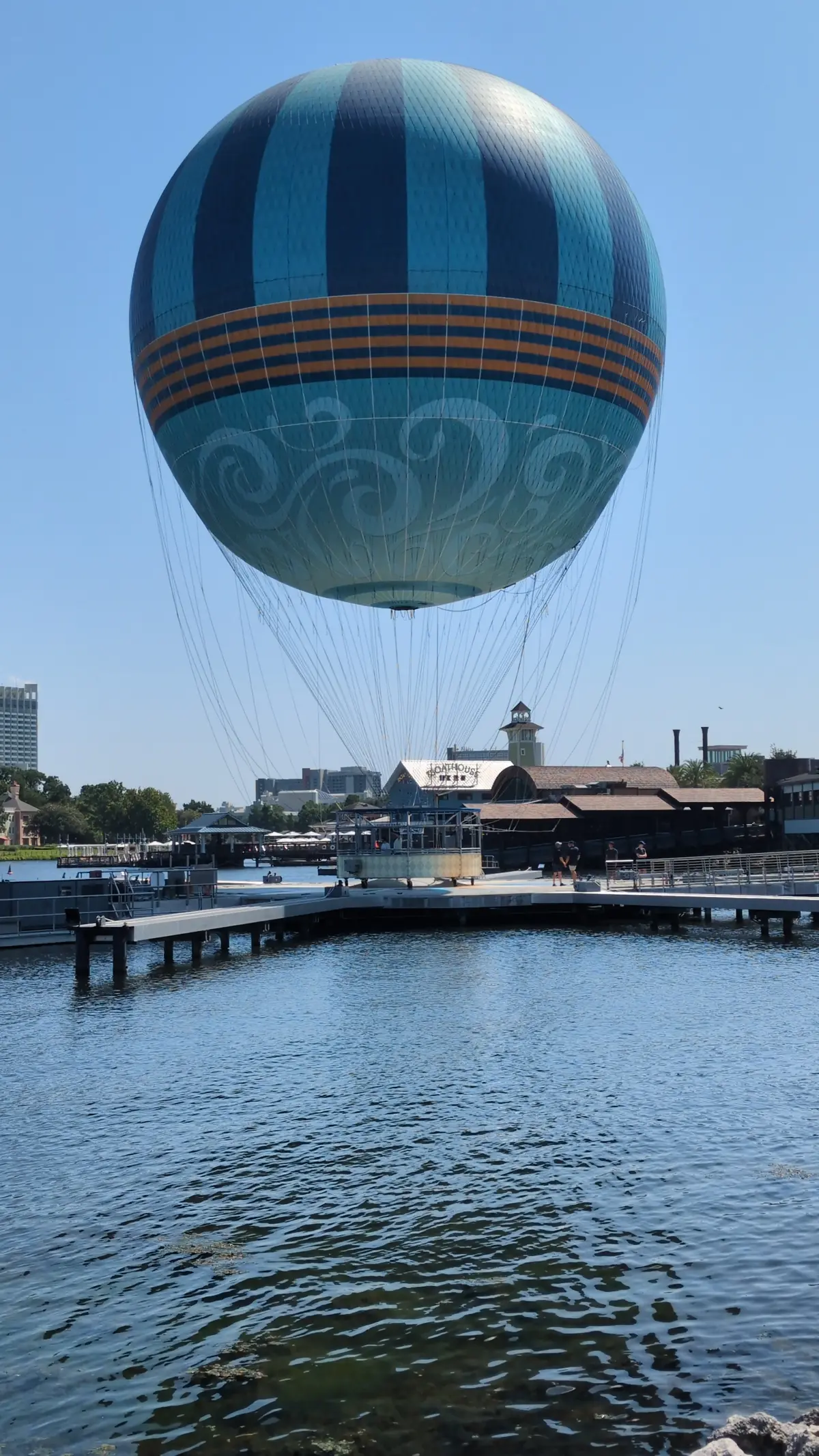 【ウォルト・ディズニー・ワールド・リゾーの画像_3