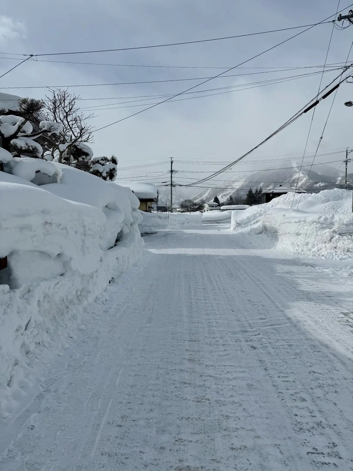 長野県　白馬村　雪景色