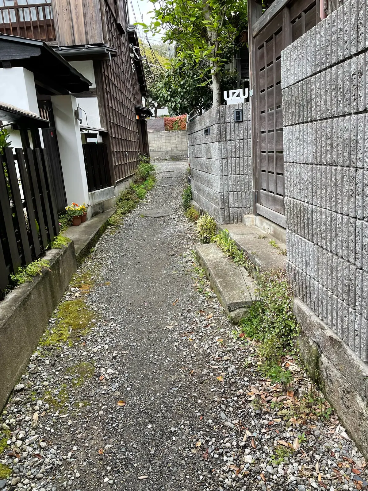 和稽古ー練り切り体験レッスンーの画像_3