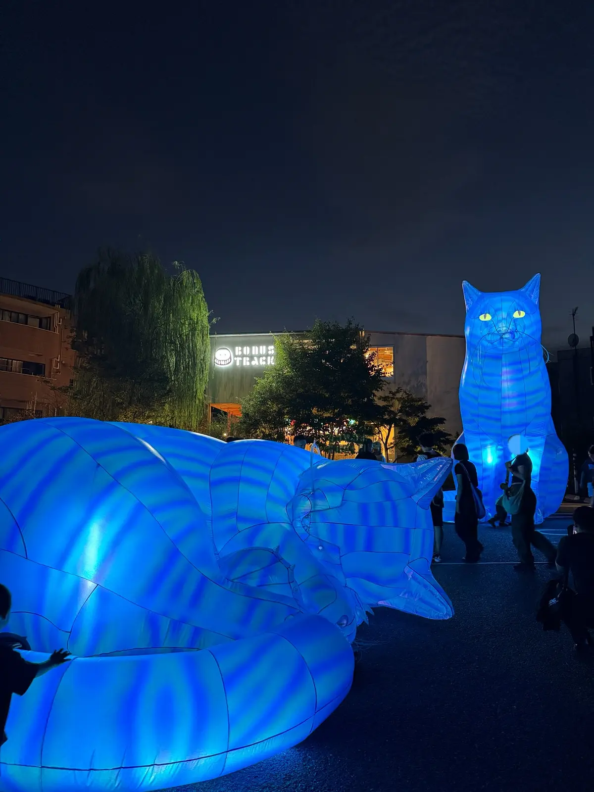 【幻想的な夜】街全体がアート空間に！「ムの画像_4