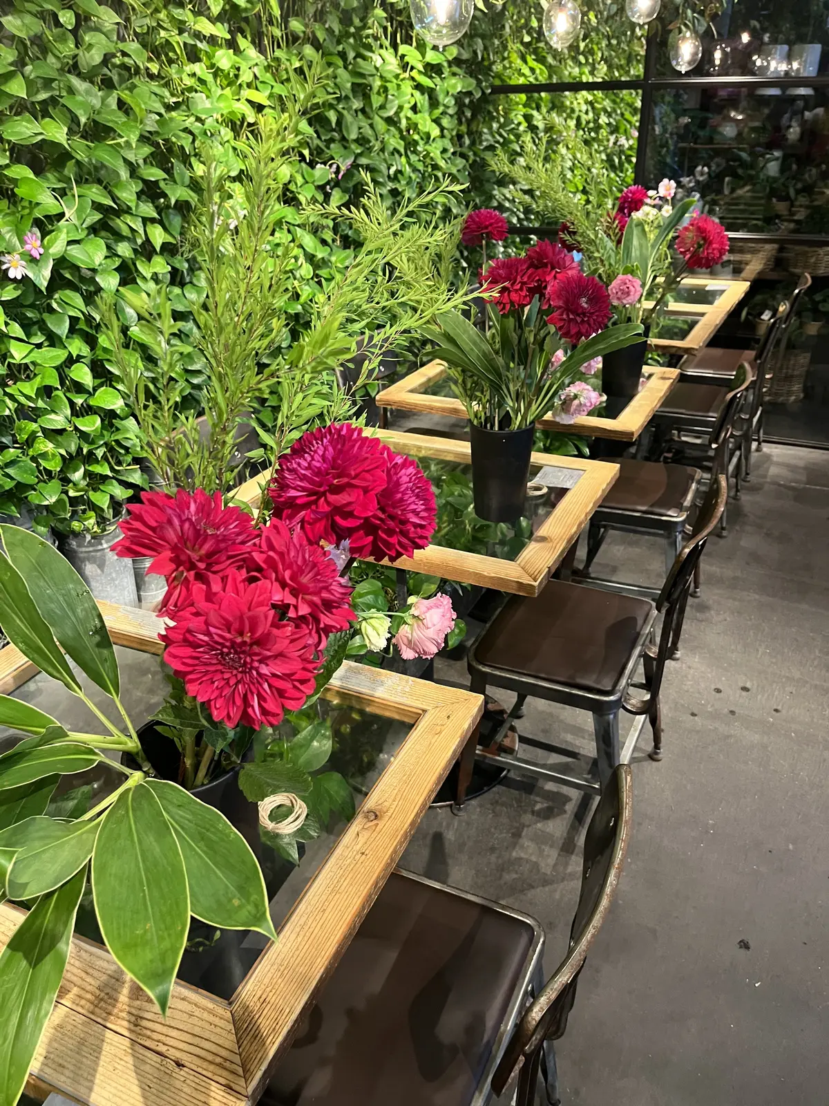 趣味を通じての画像_2