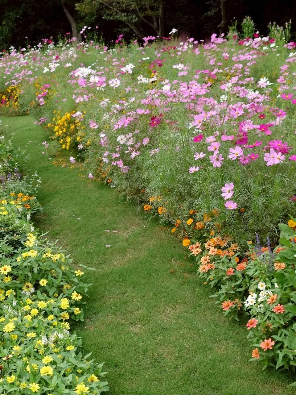 里山ガーデンフェスタ