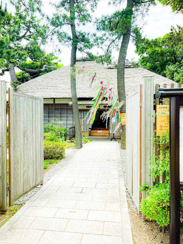 【さかぽんの冒険】七夕☆松ごしに望む海岸の画像_6