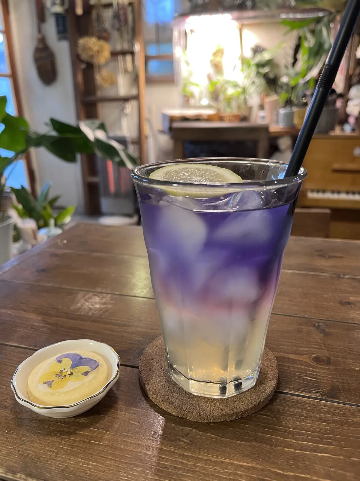 今年は早めのクリスマスリース作りの画像_11