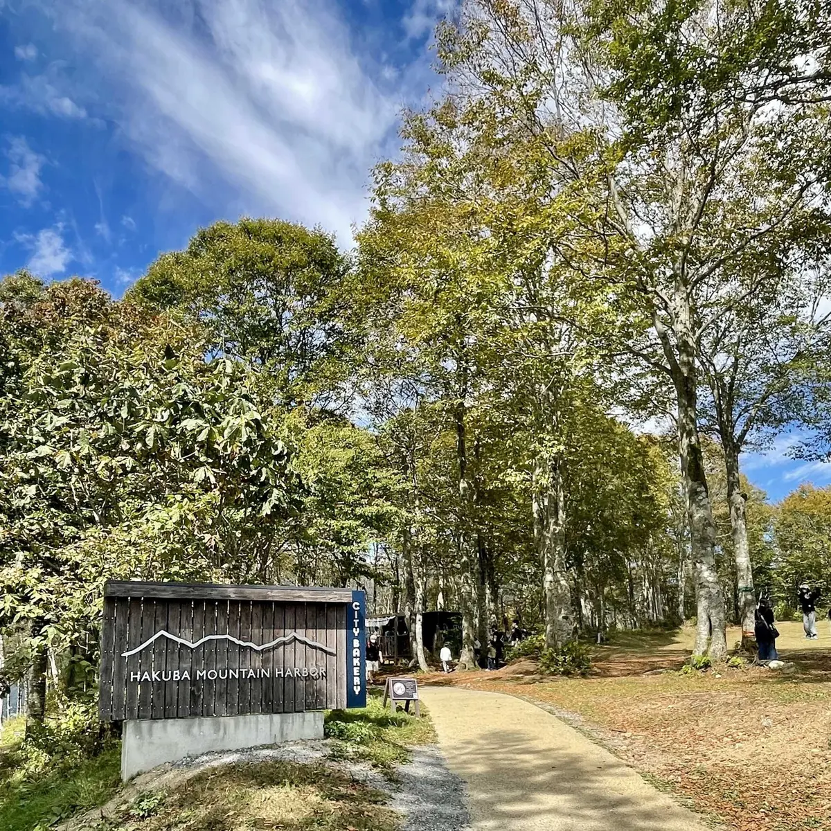 長野県の岩岳マウンテンリゾート内の写真