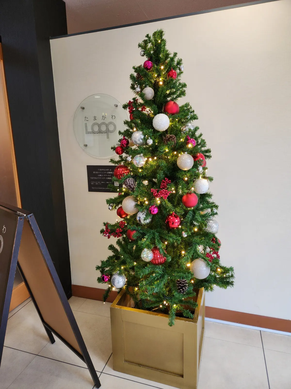 たまがわLoopに到着すると可愛いツリーがお出迎え。