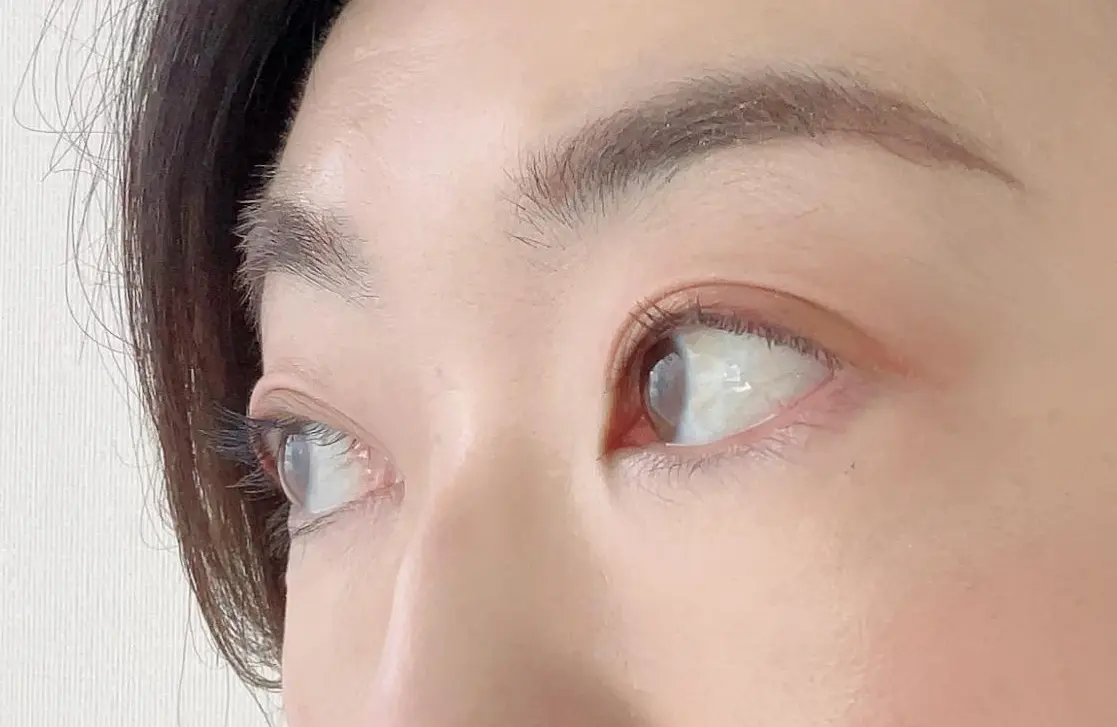  50代にも、優秀すぎる……！ KATEの画像_5