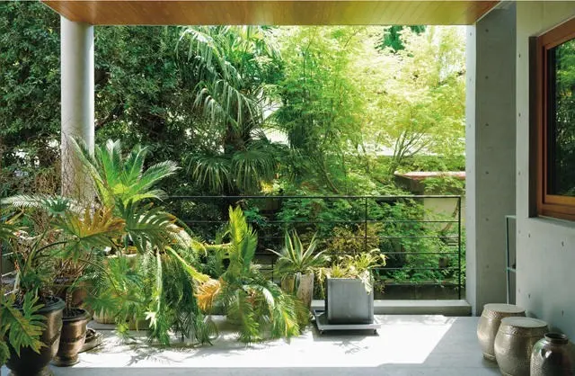 テラスには植物があふれている。