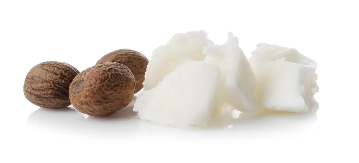 OurAge×Webエクラ