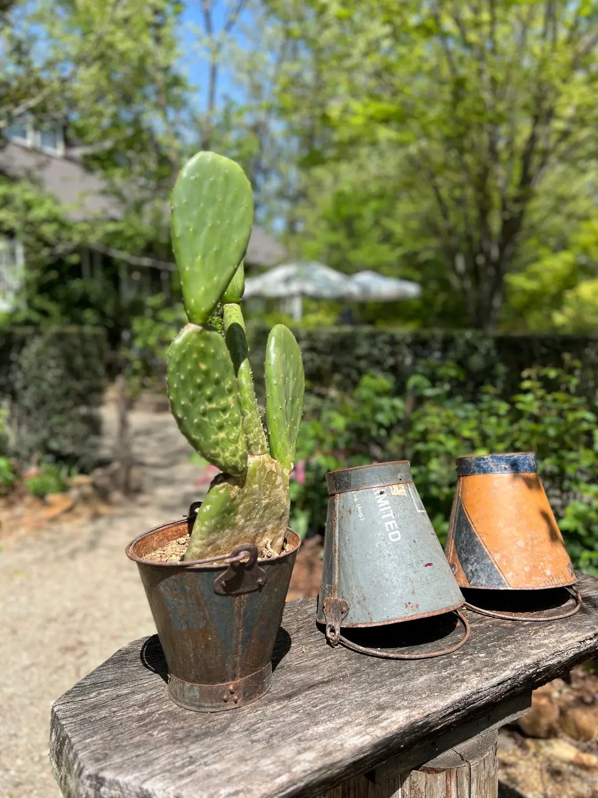 コピスガーデン