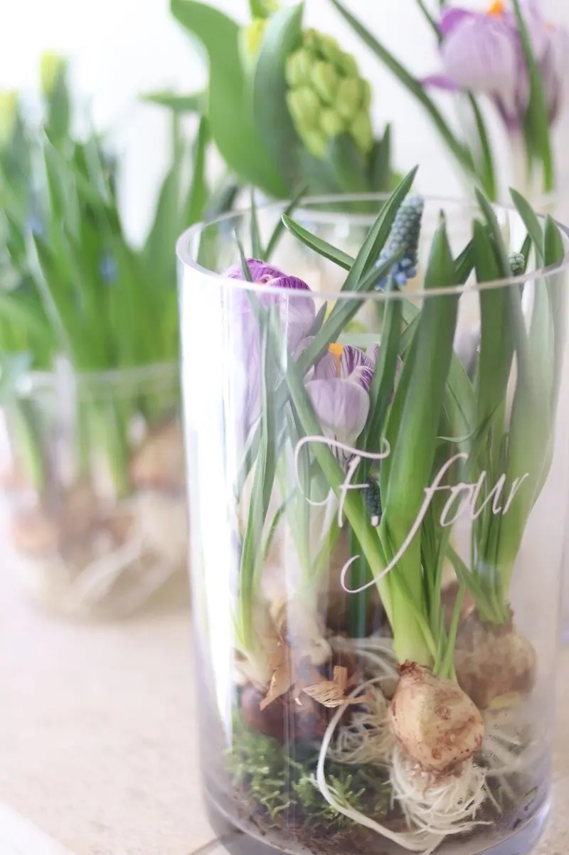 花　花屋　お花屋さん　フローリスト