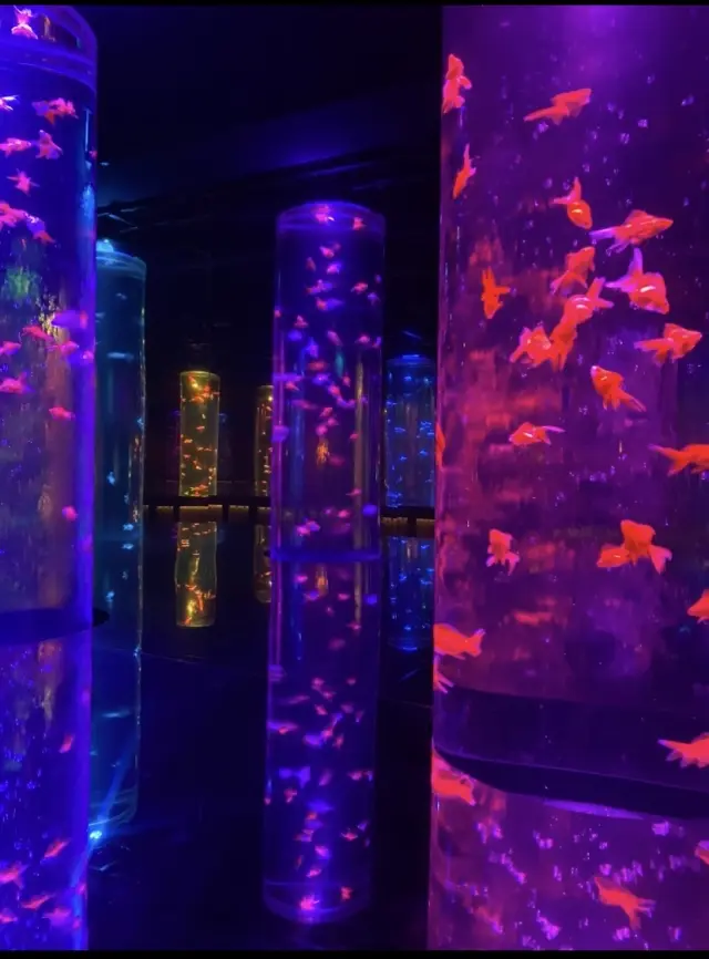 初夏を感じる体験型、アートアクアリウム美の画像_9