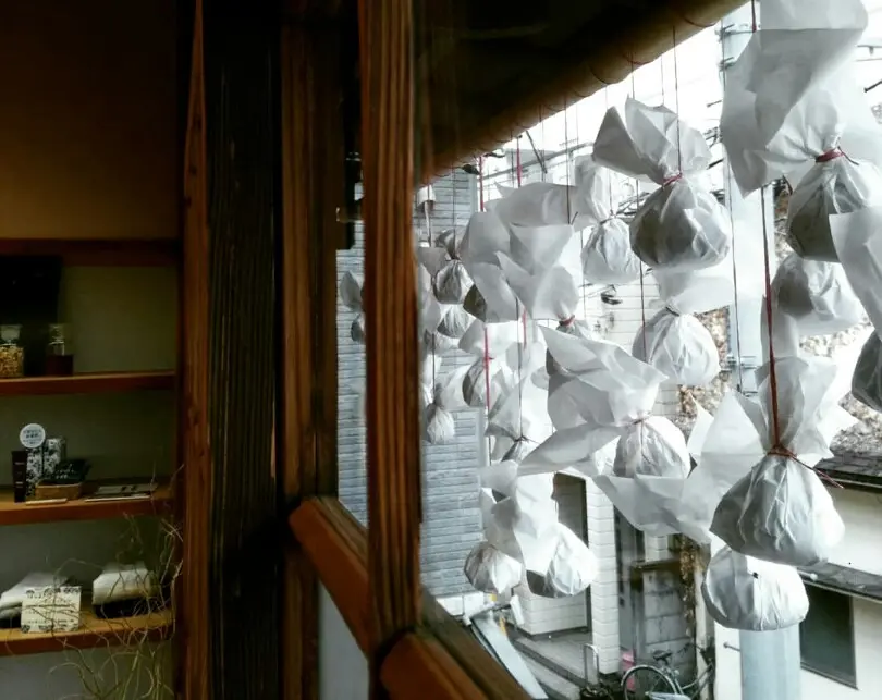 雨の古民家カフェ in 西荻窪２軒の画像_5