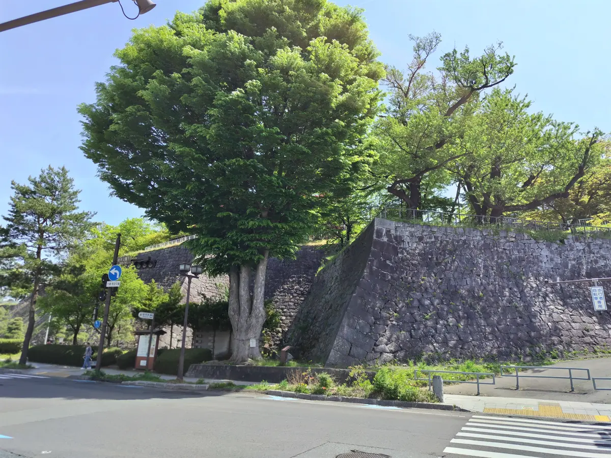 盛岡城跡公園の石垣