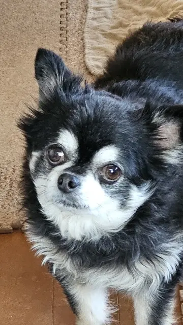 年末のご挨拶の画像_5