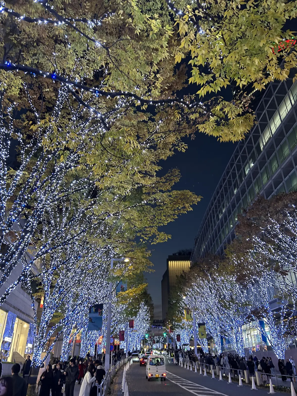 “心地よさ”と“きちんと感”が叶うきれいの画像_11