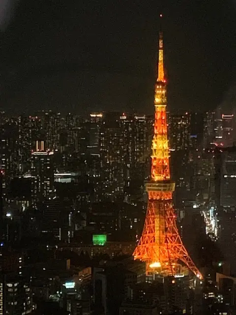 イルミネーションをもっと上から・・・。の画像_1