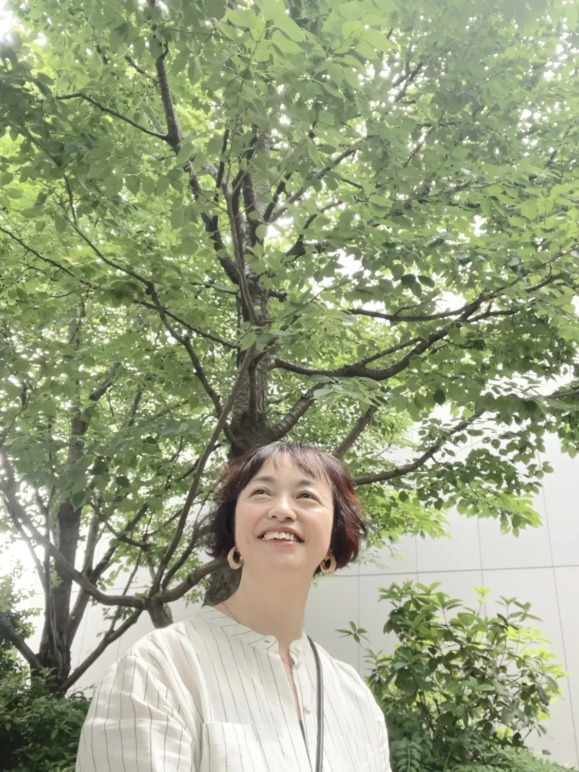 5月の銀座♡ストライプ柄リネンティアードの画像_4