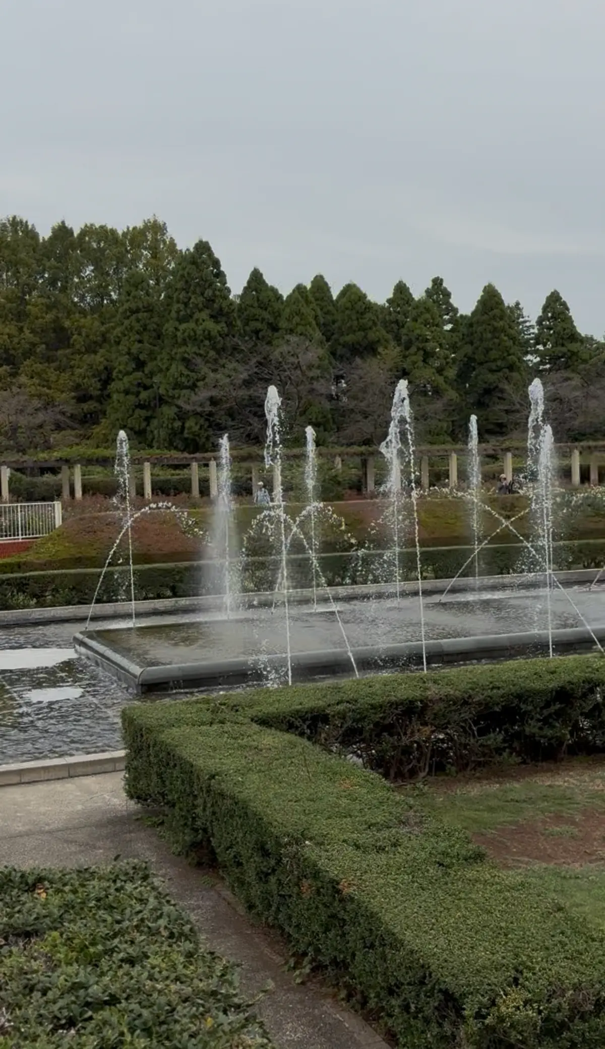 神代植物公園　噴水