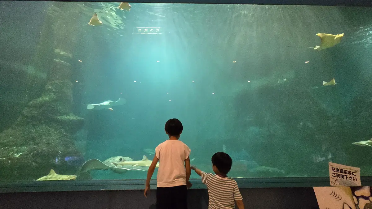 なんてことない休日　エクラの魔法をひとさの画像_2