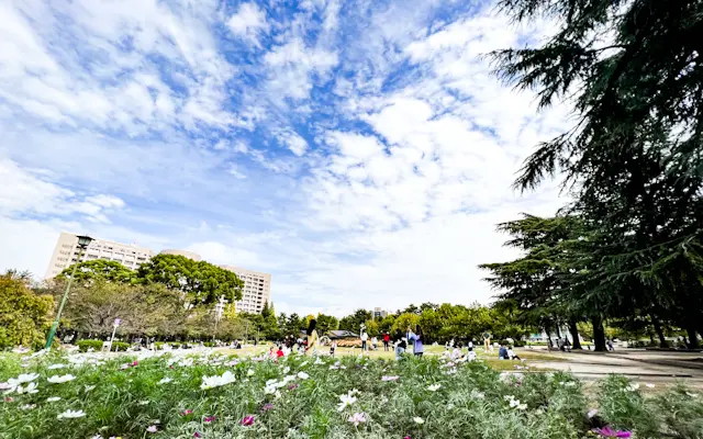 【名古屋デート】でらうみゃ〜❤️フレンチの画像_5