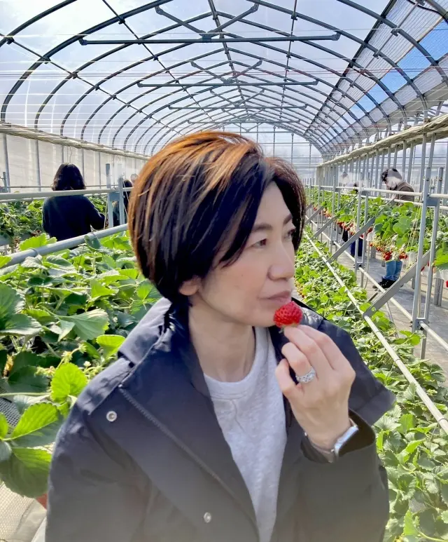 房総半島へドライブ。幸せ時間。