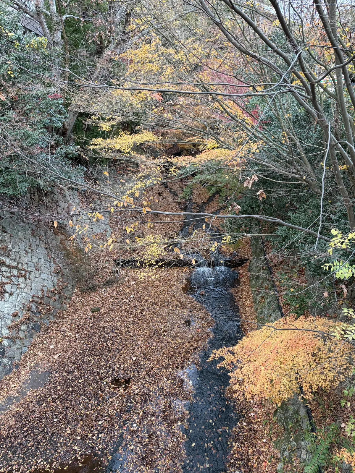 【有馬温泉】母と姉妹の温泉旅　冬編Dayの画像_5