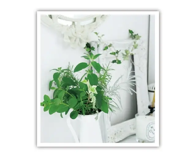 自宅時間が安らぐ グリーンの飾り方