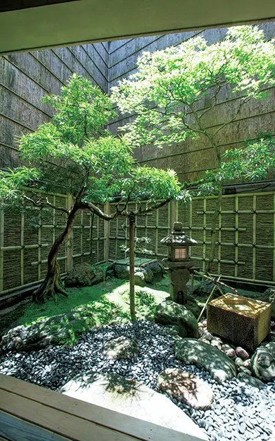 「千歳」の坪庭