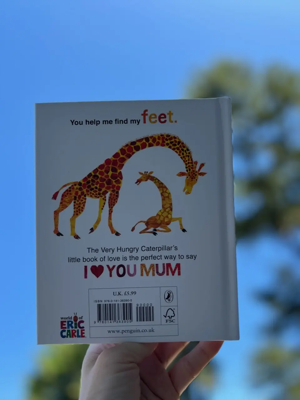 母の日のプレゼント♪はらぺこあおむしの画像_3