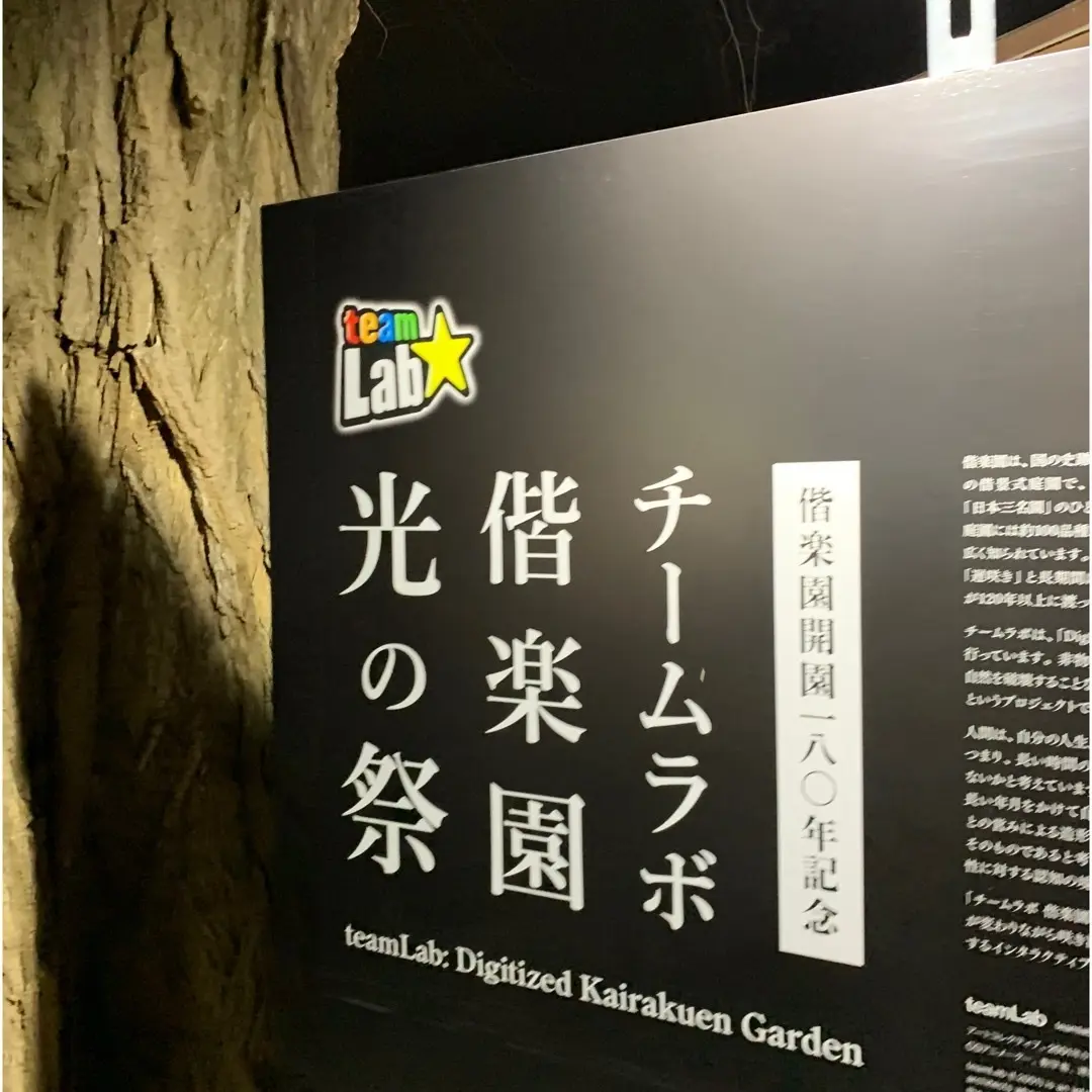 光の祭典を楽しんできましたの画像_1