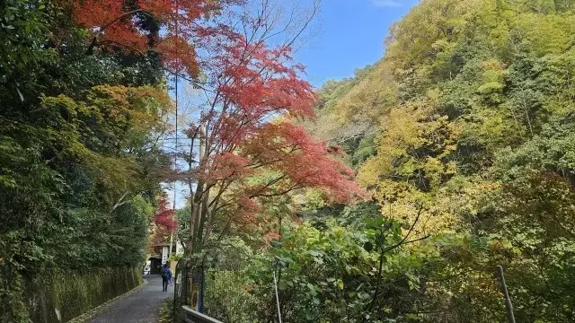 UNIQLO感謝祭戦利品とお気に入りスニーカーを身に付け秋を堪能@摂津峡